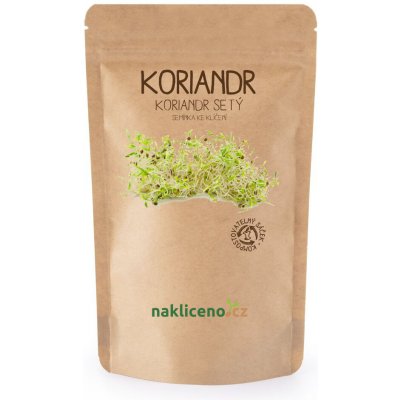 Naklíčeno Koriandr - Koriandr setý - 100 g – Hledejceny.cz