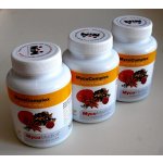 Mycomedica MycoComplex 3 x 90 kapslí – Hledejceny.cz