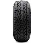 Riken Snow 205/55 R16 94H – Hledejceny.cz