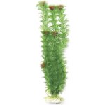 Tetra rostlina Ambulia 30 cm – Zboží Mobilmania