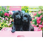 EuroGraphics XXL Black Labs in Pink Box 500 dílků – Zboží Mobilmania