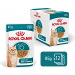 Royal Canin FHN Cat Ageing 15+ Gravy 12 x 85 g – Zbozi.Blesk.cz