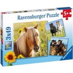 Ravensburger krásné koně 3 x 49 dílků – Hledejceny.cz