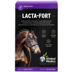 Global Medics Lacta-Fort 10x30 g – Hledejceny.cz
