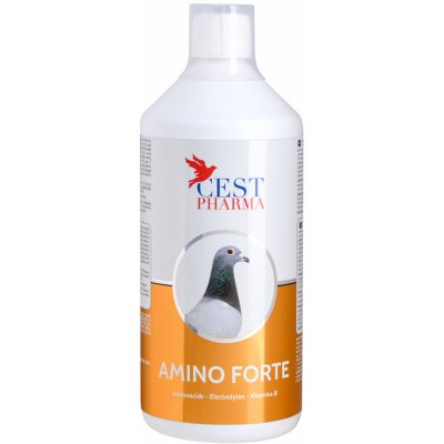 CEST PHARMA AMINO FORTE 1L – Hledejceny.cz