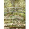 Obraz Obraz na plátně Claude Monet Bridge 57x77 cm