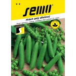 SEMO Hrách zahradní 'Zázrak z Kelvedonu' 50 g – Zboží Mobilmania