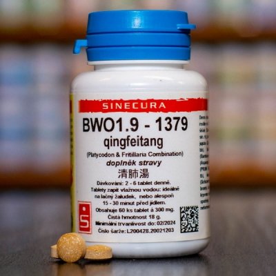 Sinecura BWO1.9 1379 60 tablet – Hledejceny.cz