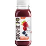 UGO Malina jahoda borůvka jablko 250 ml – Sleviste.cz