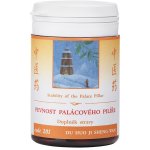 TCM Herbs Pevnost palácového pilíře 100 tablet – Sleviste.cz