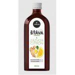 Leros Lisovaná šťáva Zázvor & citron 250 ml – Hledejceny.cz