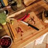 Kuchyňský nůž Fiskars Loupací nůž 11 cm Functional Form 27189