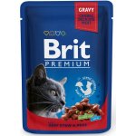 Brit Premium Cat Salmon & Trout 100 g – Sleviste.cz