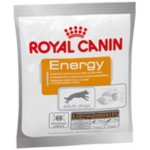 Royal Canin Snacky Energy 30 x 50 g – Hledejceny.cz