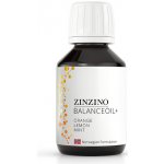 Zinzino BalanceOil 100 ml Pomeranč Rybí tuk – Zbozi.Blesk.cz