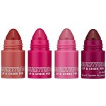 Barry M Set multilíčidel Multitude Lip and Cheek Pen Sweet Darling 0,95 g – Hledejceny.cz