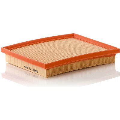Vzduchový filtr MANN-FILTER C 22 009 (C22009) – Hledejceny.cz