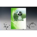 Diplom fotbal D119/A5 – Zboží Dáma