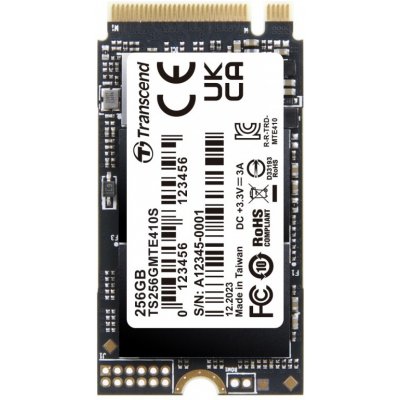 Transcend MTE410S 256GB, TS256GMTE410S – Hledejceny.cz