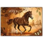 Desky na číslice MFP Kůň – Sleviste.cz