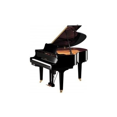 Yamaha DGC1 EN PE – Zbozi.Blesk.cz