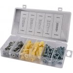 KesTek Šrouby a hmoždinky do sádrokartonu, 100-dílná souprava 40383KT – Sleviste.cz