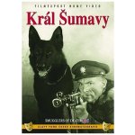 Král Šumavy DVD – Hledejceny.cz