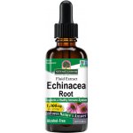 Nature's Answer Echinacea Root, extrakt, 1000 mg, 60 ml – Hledejceny.cz