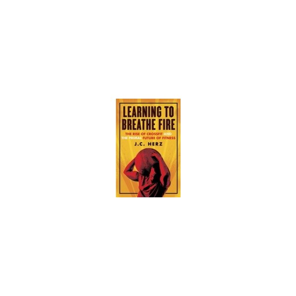 E-book elektronická kniha Learning to Breathe Fire - Herz J.C.