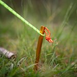 Nils Camp NC1726 – Zbozi.Blesk.cz