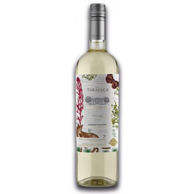 Tarapacá Biodiversity Pinot Grigio 2021 12,5% LE 0,75 l (holá láhev) – Hledejceny.cz