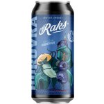 Raks Limonáda Borůvka 0,5 l – Zboží Dáma