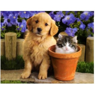 Vikpap 30 x 20 cm Roztomilé duo – Zbozi.Blesk.cz