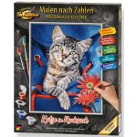 Malování podle čísel Kočka v batohu Katze 24 x 30 cm – Zboží Dáma