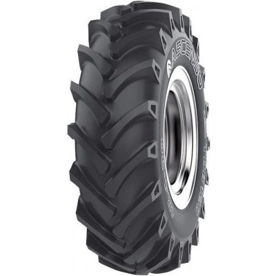 ASCENSO TDB120 16.9-38 151A8-1 TT – Hledejceny.cz