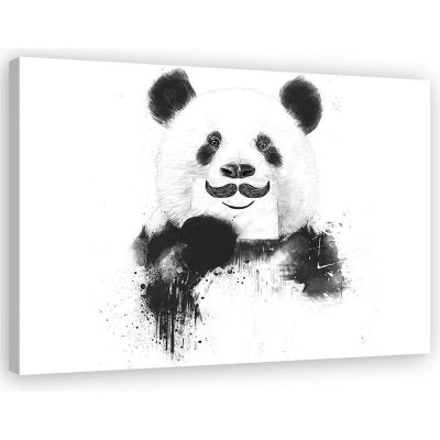 obraz na plátně panda – Heureka.cz