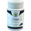 Doplněk stravy na hubnutí Salvia Paradise Shilajit Mumio 25 g