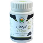 Salvia Paradise Shilajit Mumio 25 g – Zbozi.Blesk.cz