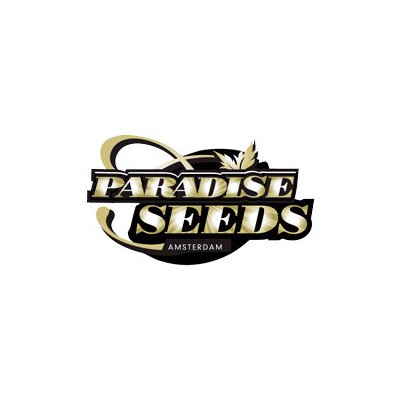 Paradise seeds Auto Kong 4 semena neobsahují THC 1 ks