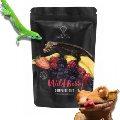 Gecko Nutrition Kaše pro pagekony Lesní ovoce/banán 50 g – Zboží Dáma