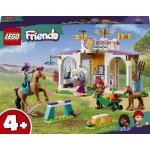 LEGO® Friends 41746 Trénink koní – Zboží Živě