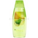 Avon Senses Citrus Zing sprchový gel 500 ml