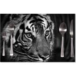 Sablio prostírání Černobílý tygr 40x30cm – Zboží Mobilmania