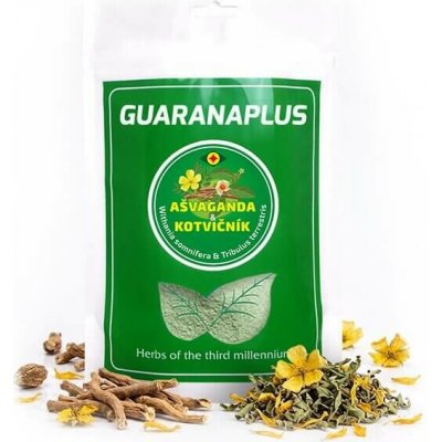 GUARANAPLUS Ašvaganda + Kotvičník XL 600 g – Hledejceny.cz