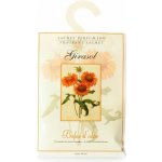 Boles d´olor Vonný sáček velký papírový 12 x 17 x 0,3 cm Girasol – Zboží Dáma
