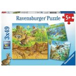 Ravensburger Zvířátka ve svých domovech 3 x 49 dílků – Hledejceny.cz