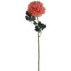 Květina Chryzantéma růžová X5787-07