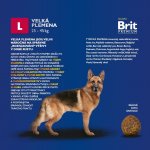 Brit Premium Adult L Chicken 15 kg – Hledejceny.cz