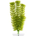 JK rostlina Anacharis 18-21 cm – Zboží Dáma