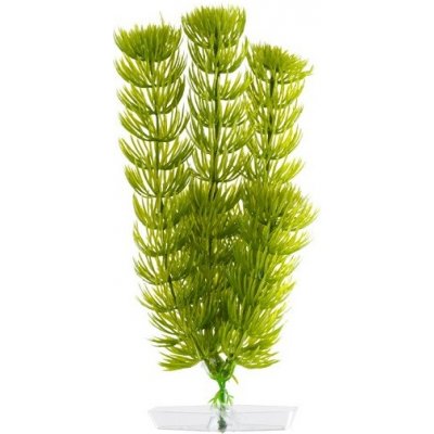 JK rostlina Anacharis 18-21 cm – Zboží Dáma